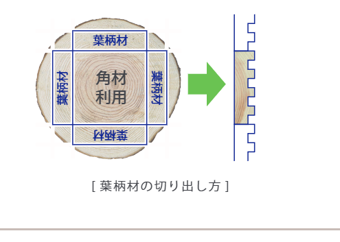 間伐材の丸太断面