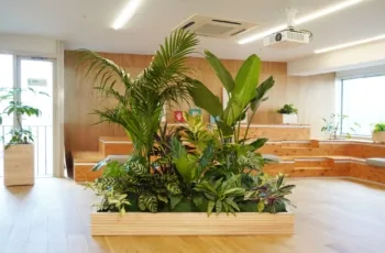 コズミオアシス