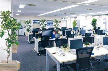 エアーグリーンミドル