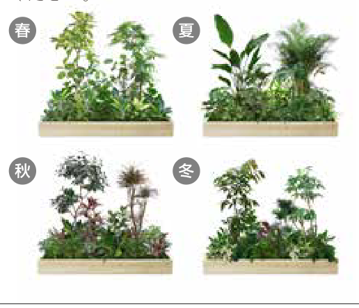 春夏秋冬の植栽イメージ
