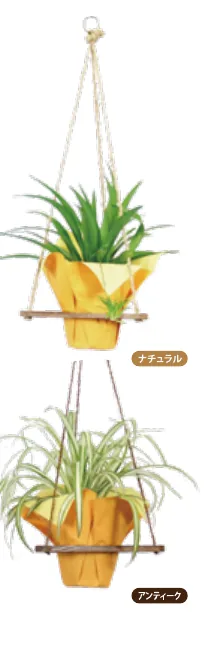 トラースの商品イメージ