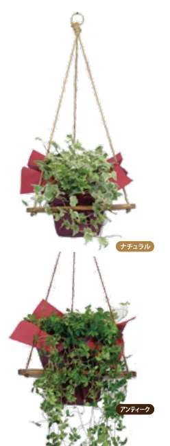 トラースの商品イメージ