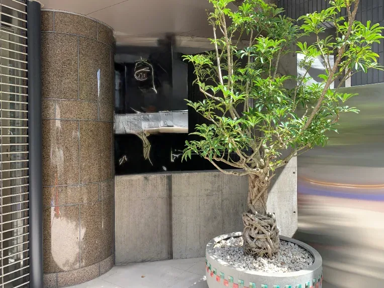 オフィスへの観葉植物レンタル設置事例（東京都 新宿区）