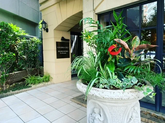 ホテルへの観葉植物レンタル設置事例（東京都 港区）