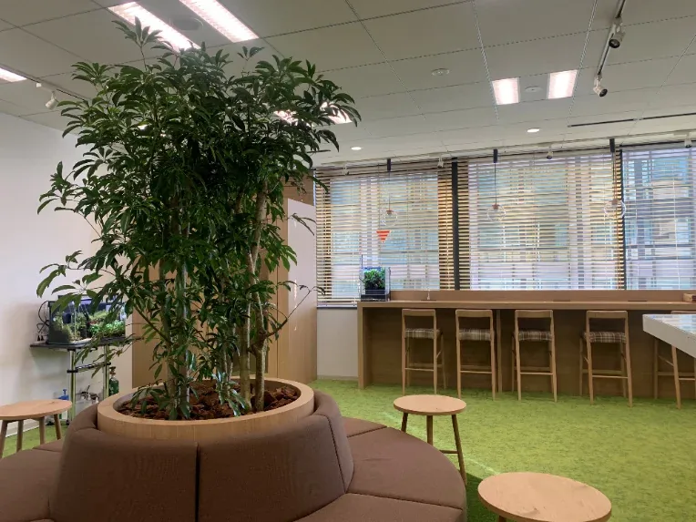 オフィスへの観葉植物レンタル設置事例（東京都 新宿区）