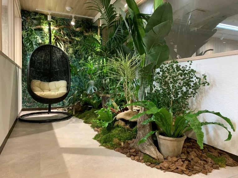 サロンへの観葉植物レンタル設置事例（東京都 渋谷区）